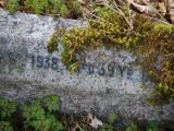 image of grave number 829521